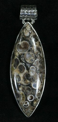 Fossil Turritella (Gastropod) Pendant - Sterling Silver #22634